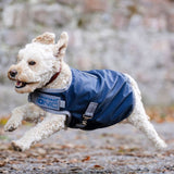 Horseware® Ionic Therapy Dog Coat 50g - Horseware Ireland - Equiluxe Tack