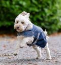 Horseware® Ionic Therapy Dog Coat 50g - Horseware Ireland - Equiluxe Tack