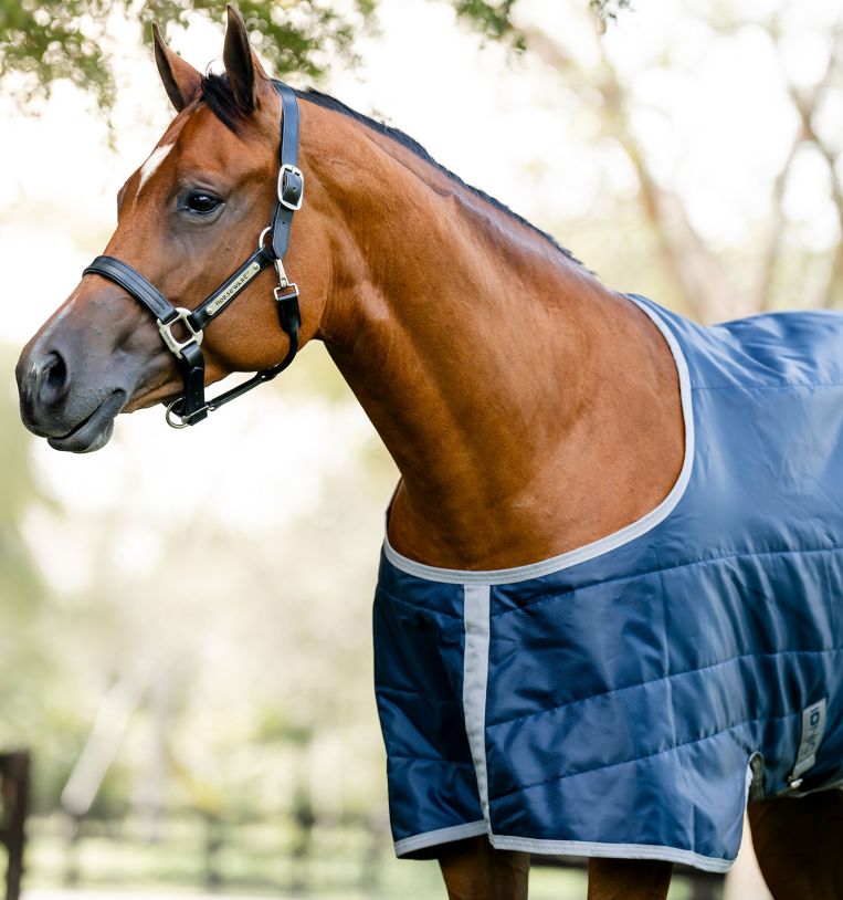 Horseware Ionic® Therapy Quarter Horse Stable 50g - Horseware Ireland - Equiluxe Tack