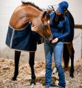 Horseware Ionic® Therapy Quarter Horse Stable 50g - Horseware Ireland - Equiluxe Tack
