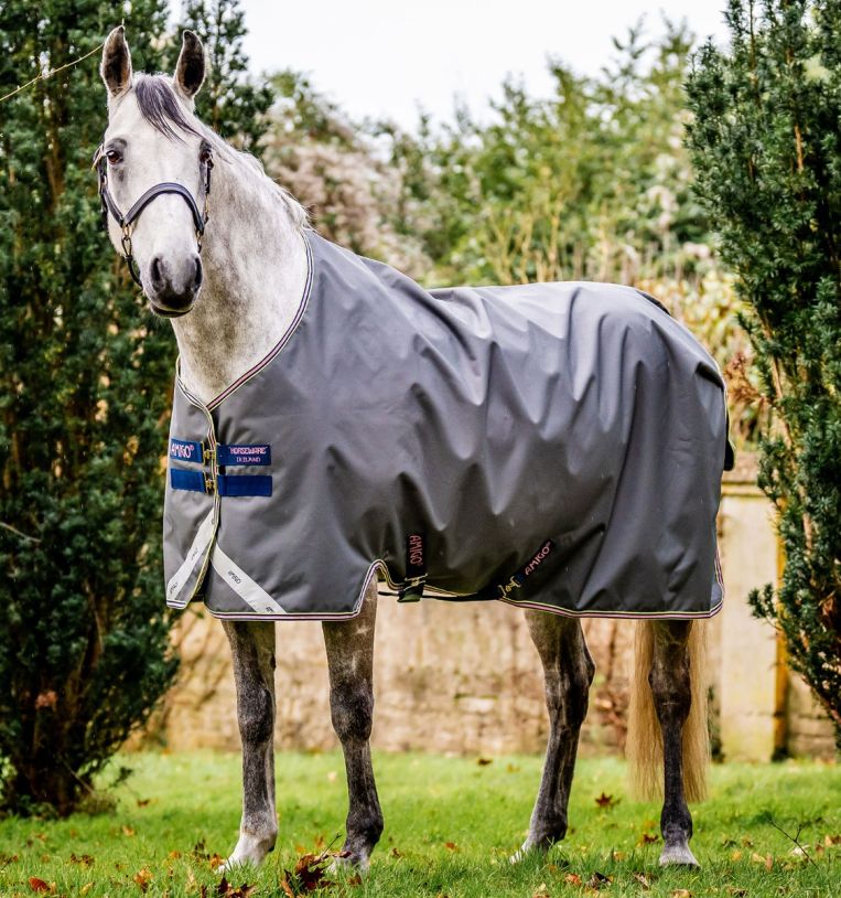 Horseware Ireland Amigo® Bravo 12 Original Turnout (0g Light) - Horseware Ireland - Equiluxe Tack