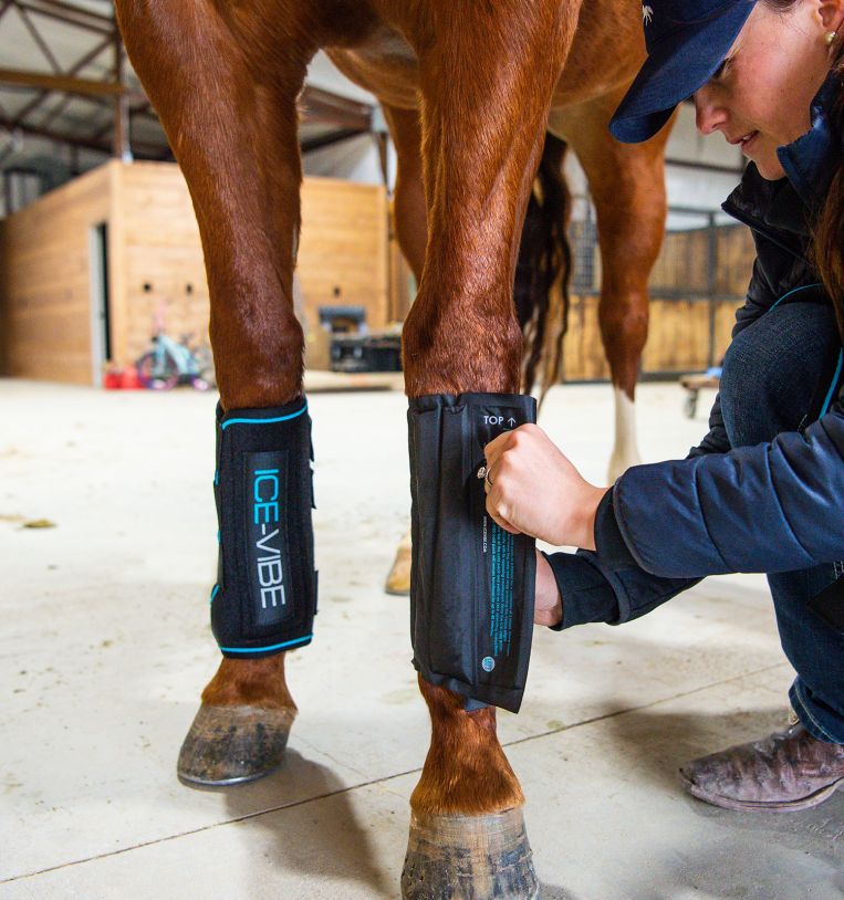 Horseware Ireland Ice - Vibe® Boots - Horseware Ireland - Equiluxe Tack