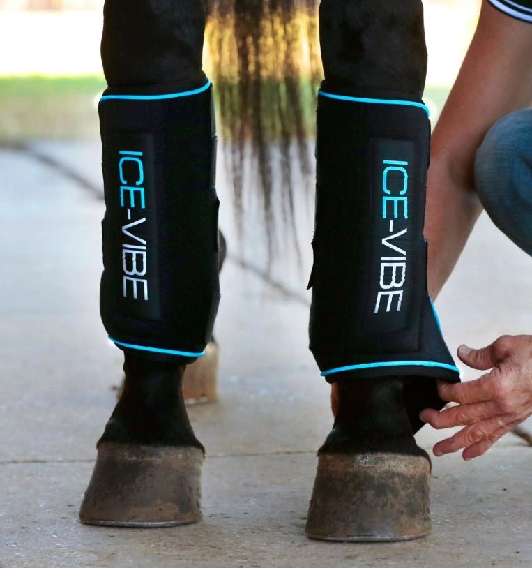 Horseware Ireland Ice - Vibe® Boots - Horseware Ireland - Equiluxe Tack