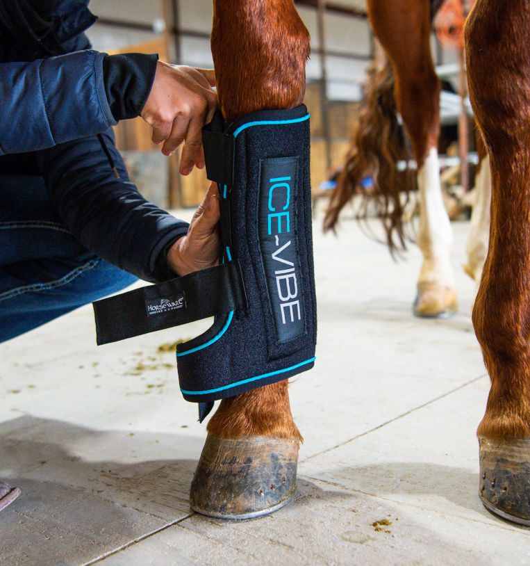 Horseware Ireland Ice - Vibe® Boots - Horseware Ireland - Equiluxe Tack