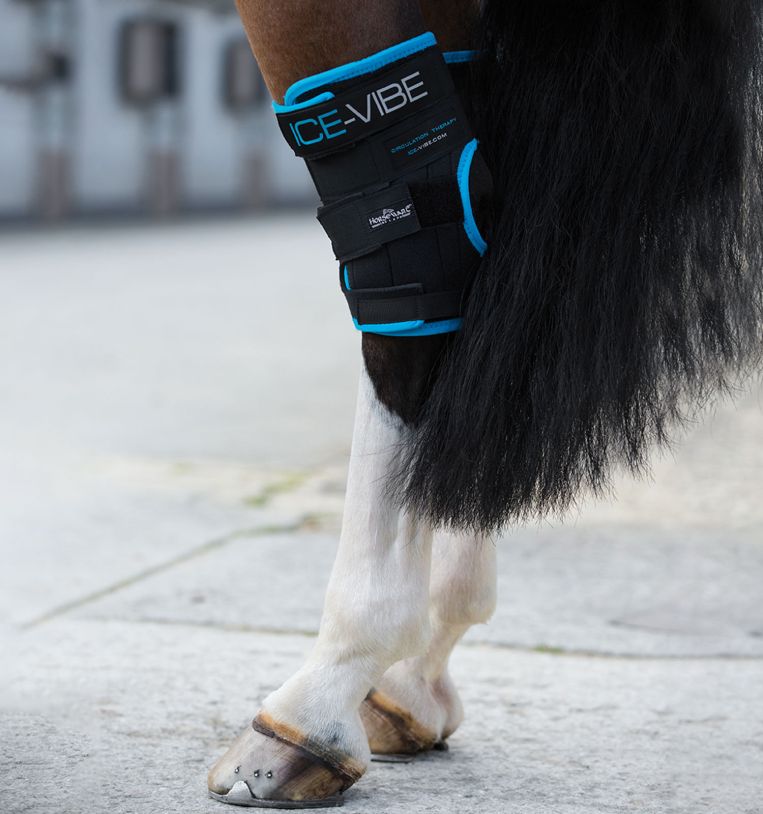 Horseware Ireland Ice - Vibe® Hock Wraps - Horseware Ireland - Equiluxe Tack