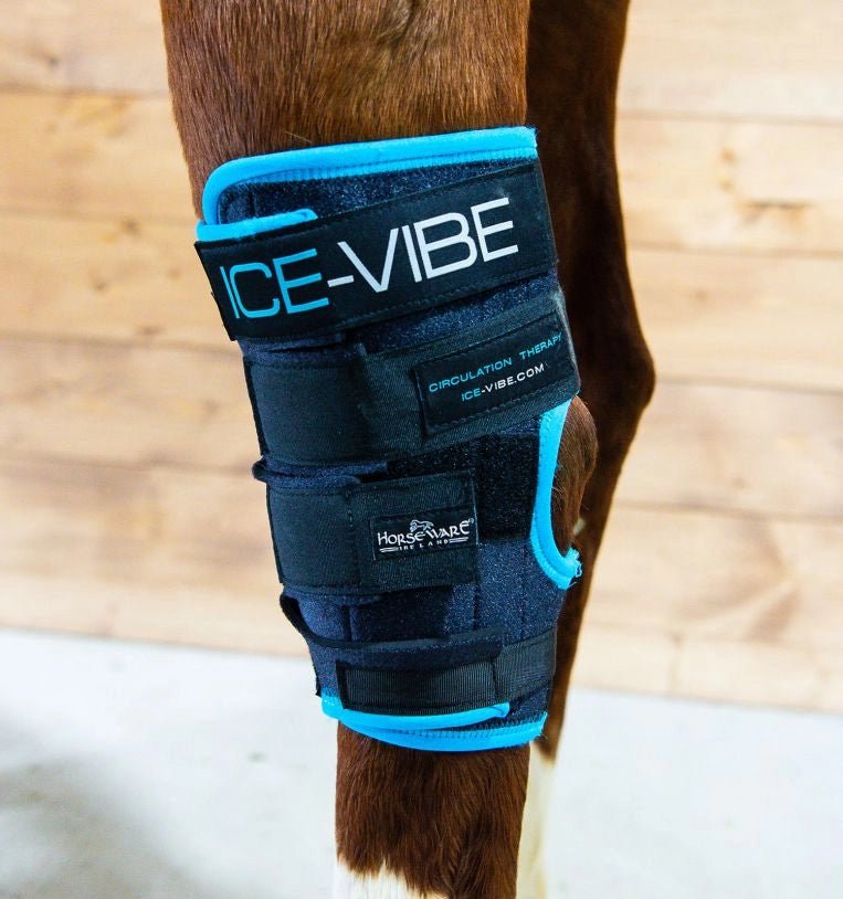 Horseware Ireland Ice - Vibe® Hock Wraps - Horseware Ireland - Equiluxe Tack