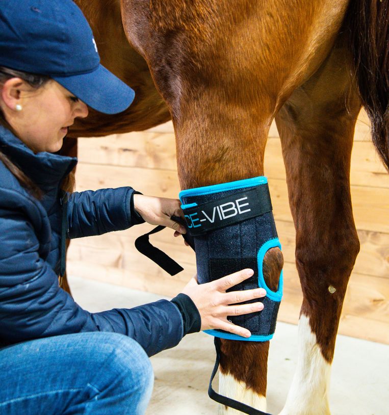 Horseware Ireland Ice - Vibe® Hock Wraps - Horseware Ireland - Equiluxe Tack