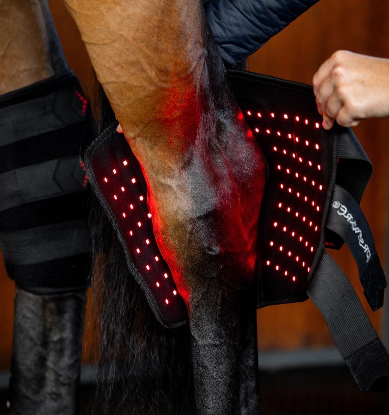 Horseware® LED Red Light Therapy Hock Boots - Horseware Ireland - Equiluxe Tack