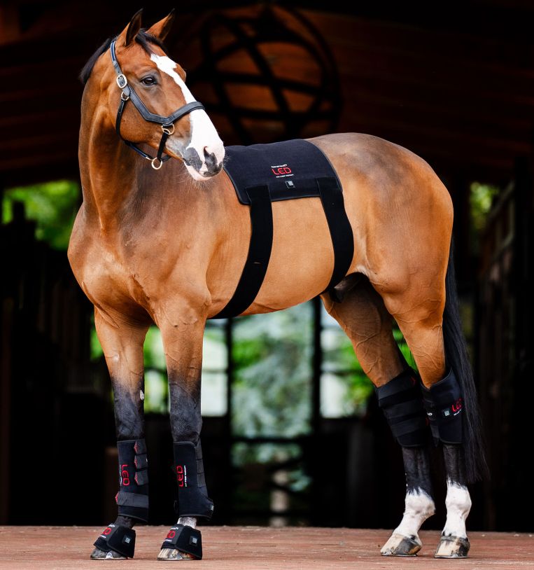 Horseware® LED Red Light Therapy Leg Wrap - Horseware Ireland - Equiluxe Tack