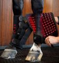 Horseware® LED Red Light Therapy Leg Wrap - Horseware Ireland - Equiluxe Tack