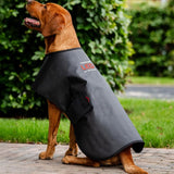 Horseware® LED Red Light Therapy Pet Coat - Horseware Ireland - Equiluxe Tack