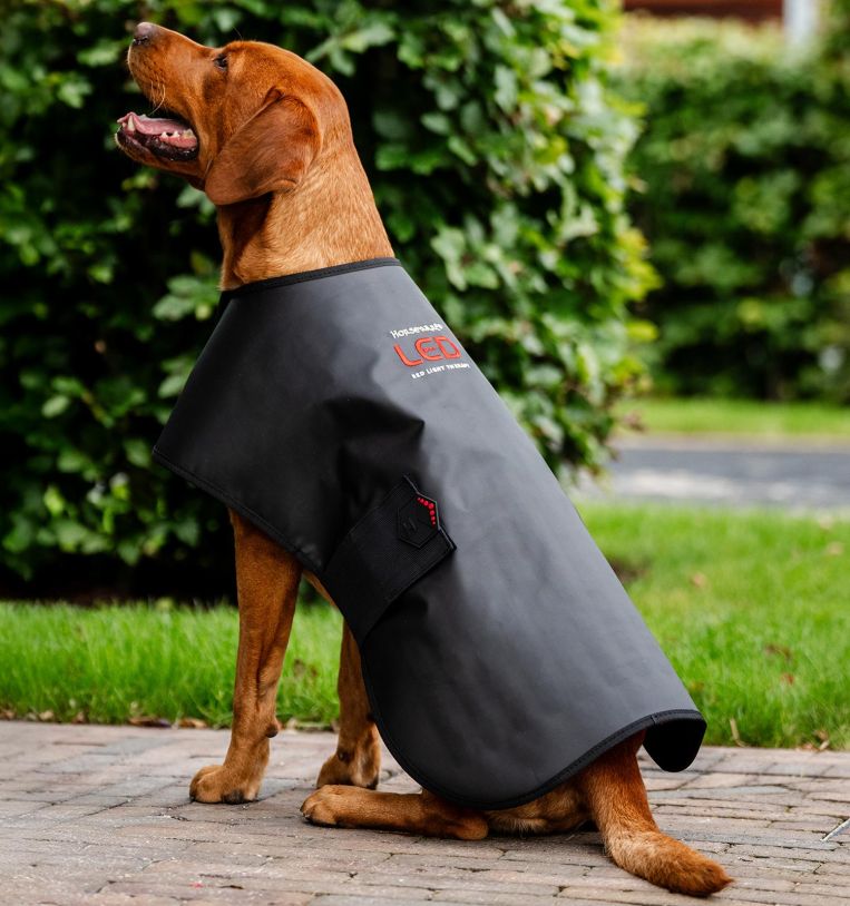 Horseware® LED Red Light Therapy Pet Coat - Horseware Ireland - Equiluxe Tack