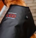 Horseware® LED Red Light Therapy Pet Coat - Horseware Ireland - Equiluxe Tack