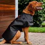 Horseware® LED Red Light Therapy Pet Coat - Horseware Ireland - Equiluxe Tack