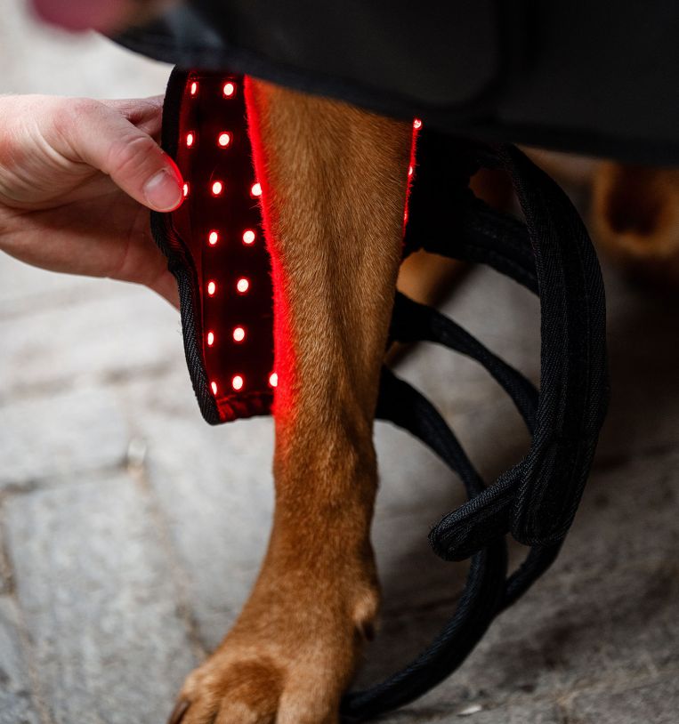 Horseware® LED Red Light Therapy Pet Leg Wrap - Horseware Ireland - Equiluxe Tack