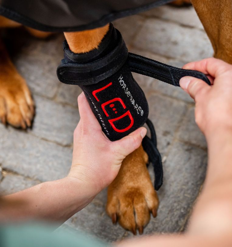 Horseware® LED Red Light Therapy Pet Leg Wrap - Horseware Ireland - Equiluxe Tack