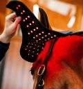 Horseware® LED Red Light Therapy Poll Cap - Horseware Ireland - Equiluxe Tack