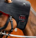 Horseware® LED Red Light Therapy Poll Cap - Horseware Ireland - Equiluxe Tack