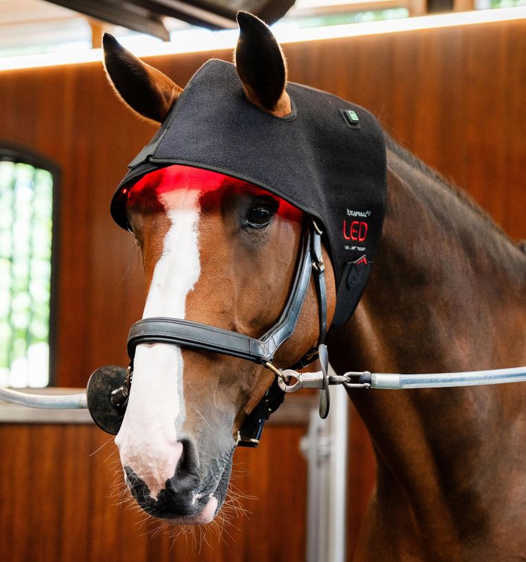 Horseware® LED Red Light Therapy Poll Cap - Horseware Ireland - Equiluxe Tack