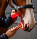 Horseware® LED Red Light Therapy Wand - Horseware Ireland - Equiluxe Tack