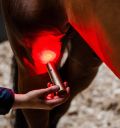 Horseware® LED Red Light Therapy Wand - Horseware Ireland - Equiluxe Tack