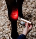 Horseware® LED Red Light Therapy Wand - Horseware Ireland - Equiluxe Tack