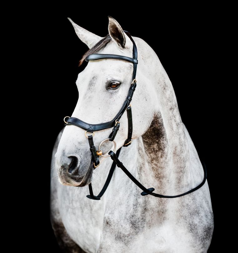 Horseware Micklem® 2 Multi Bridle with Rubber Reins - Horseware Ireland - Equiluxe Tack