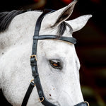 Horseware Micklem® 2 Multi Bridle with Rubber Reins - Horseware Ireland - Equiluxe Tack