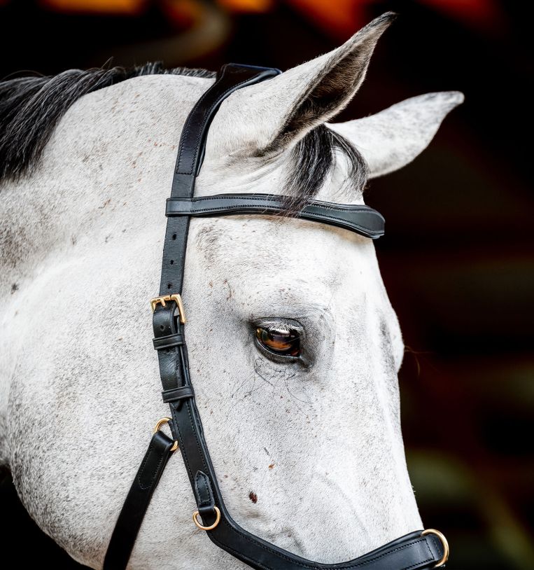 Horseware Micklem® 2 Multi Bridle with Rubber Reins - Horseware Ireland - Equiluxe Tack