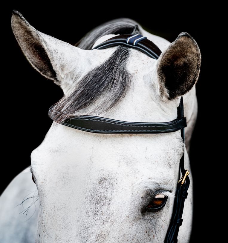 Horseware Micklem® 2 Multi Bridle with Rubber Reins - Horseware Ireland - Equiluxe Tack