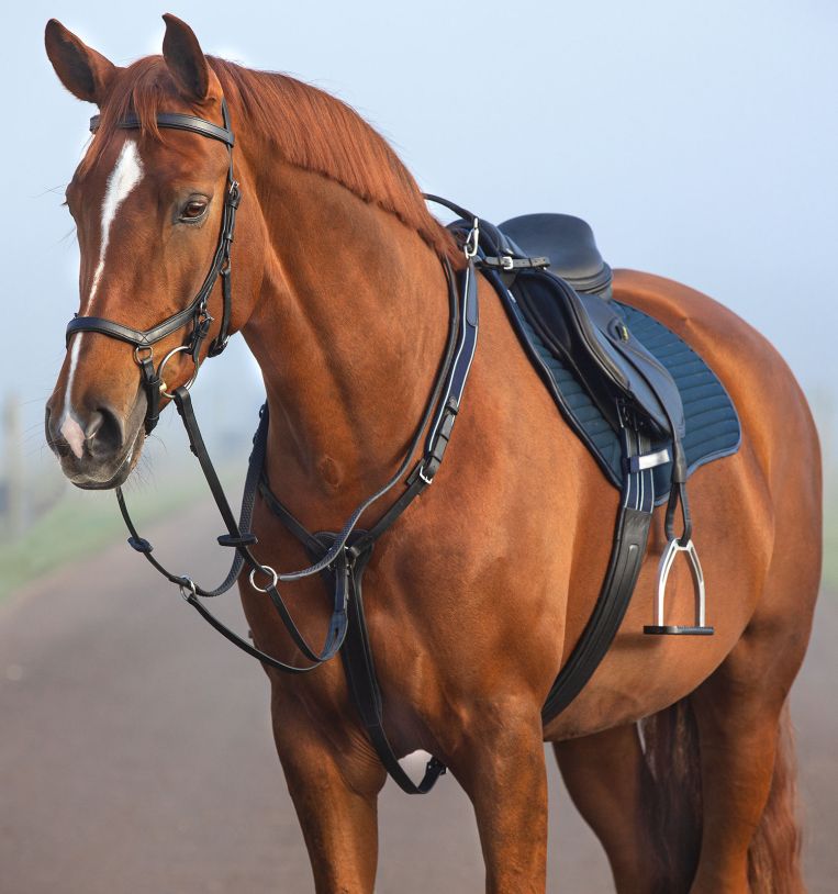 Horseware Micklem® Breastplate Martingale - Horseware Ireland - Equiluxe Tack