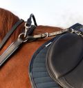 Horseware Micklem® Breastplate with Martingale - Horseware Ireland - Equiluxe Tack