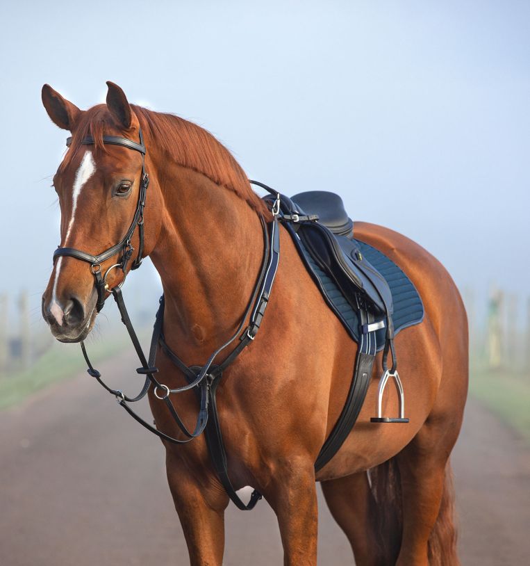 Horseware Micklem® Breastplate with Martingale - Horseware Ireland - Equiluxe Tack