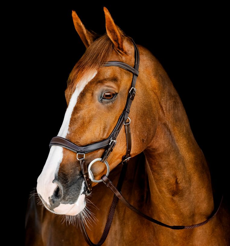 Horseware Micklem® Competition Bridle - Horseware Ireland - Equiluxe Tack