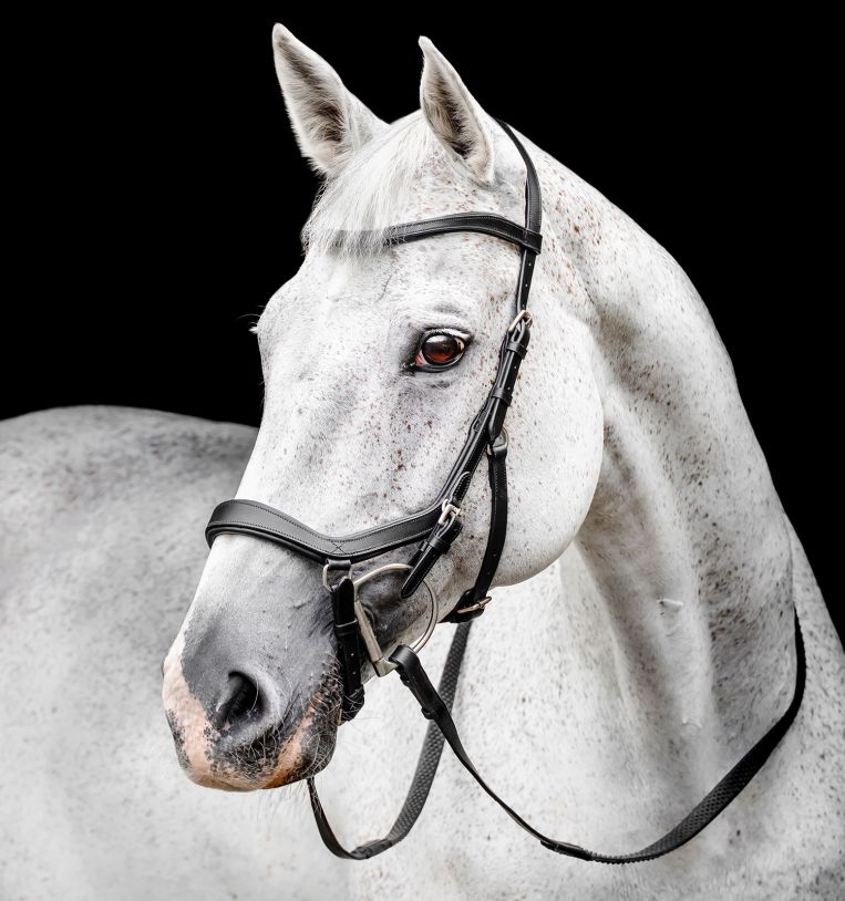 Horseware Micklem® Competition Bridle - Horseware Ireland - Equiluxe Tack