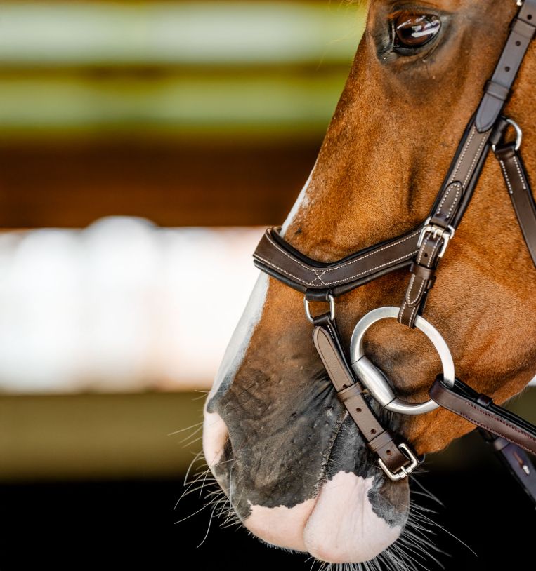 Horseware Micklem® Competition Bridle - Horseware Ireland - Equiluxe Tack