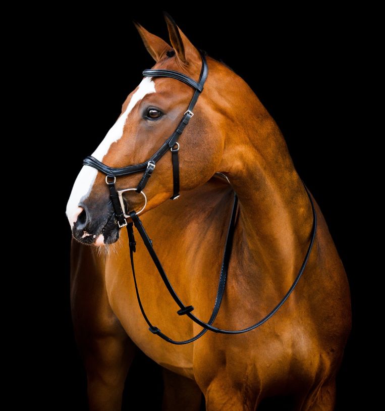 Horseware Micklem® Deluxe Competition Bridle with Reins - Horseware Ireland - Equiluxe Tack