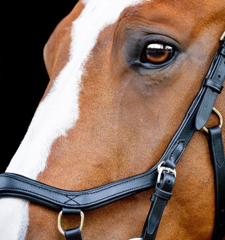 Horseware Micklem® Diamante Competition Bridle - Horseware Ireland - Equiluxe Tack