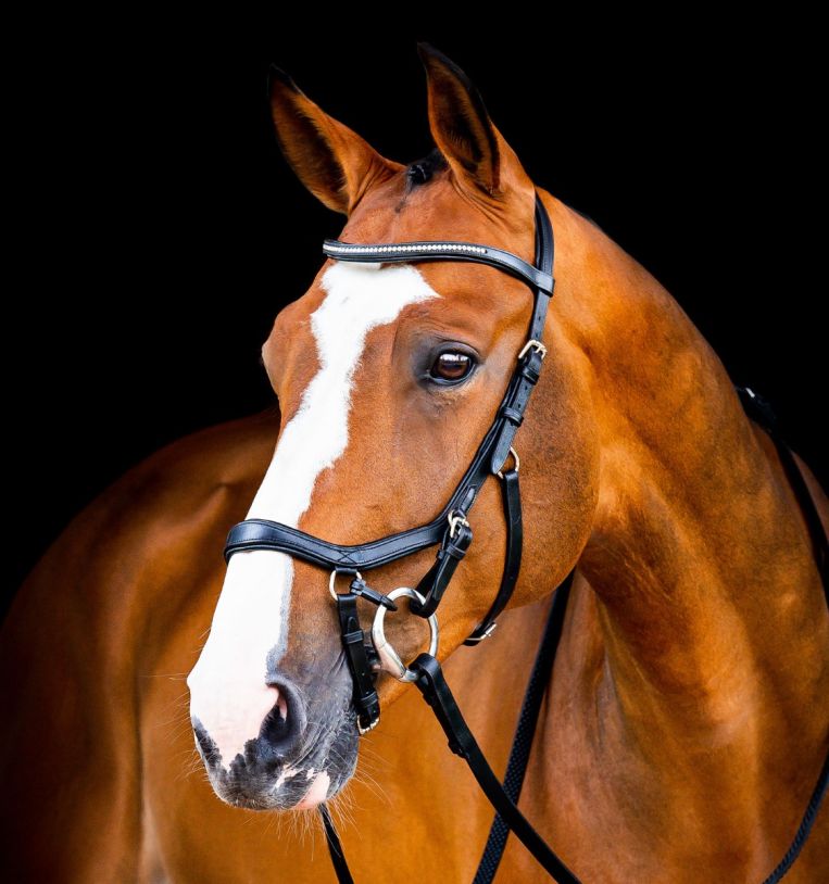 Horseware Micklem® Diamante Competition Bridle - Horseware Ireland - Equiluxe Tack