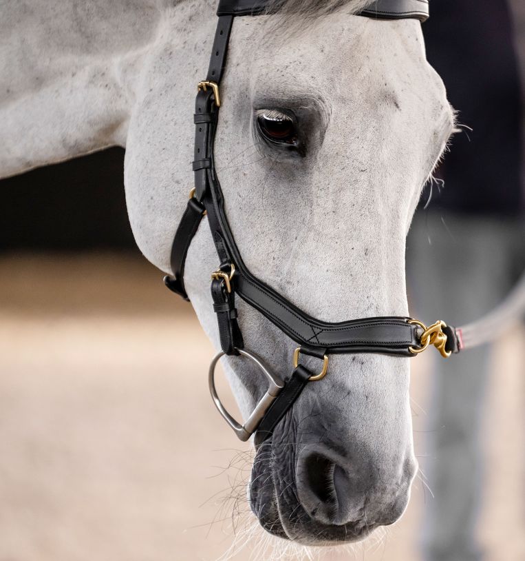 Horseware Micklem® Multi Bridle - Horseware Ireland - Equiluxe Tack