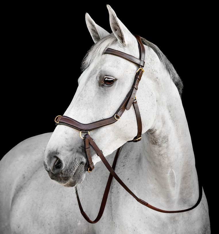Horseware Micklem® Multi Bridle - Horseware Ireland - Equiluxe Tack