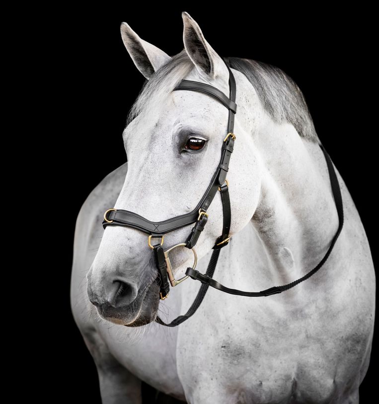 Horseware Micklem® Multi Bridle - Horseware Ireland - Equiluxe Tack