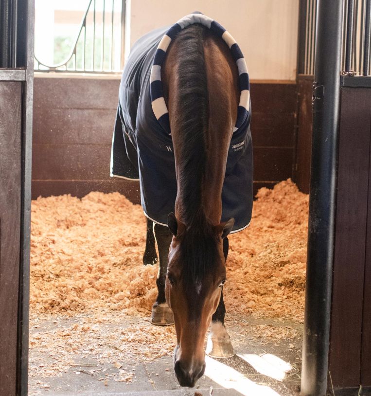 Horseware® Newmarket Cozy Stable 100g - Horseware Ireland - Equiluxe Tack