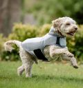 Horseware® Newmarket Dog Fleece - Horseware Ireland - Equiluxe Tack