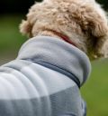 Horseware® Newmarket Dog Fleece - Horseware Ireland - Equiluxe Tack