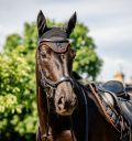 Horseware® Newmarket Ear Net - Horseware Ireland - Equiluxe Tack