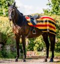 Horseware® Newmarket Ear Net - Horseware Ireland - Equiluxe Tack