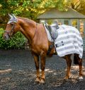 Horseware® Newmarket Ear Net - Horseware Ireland - Equiluxe Tack