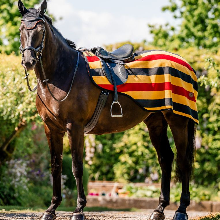 Horseware® Newmarket Exercise Sheet - Horseware Ireland - Equiluxe Tack