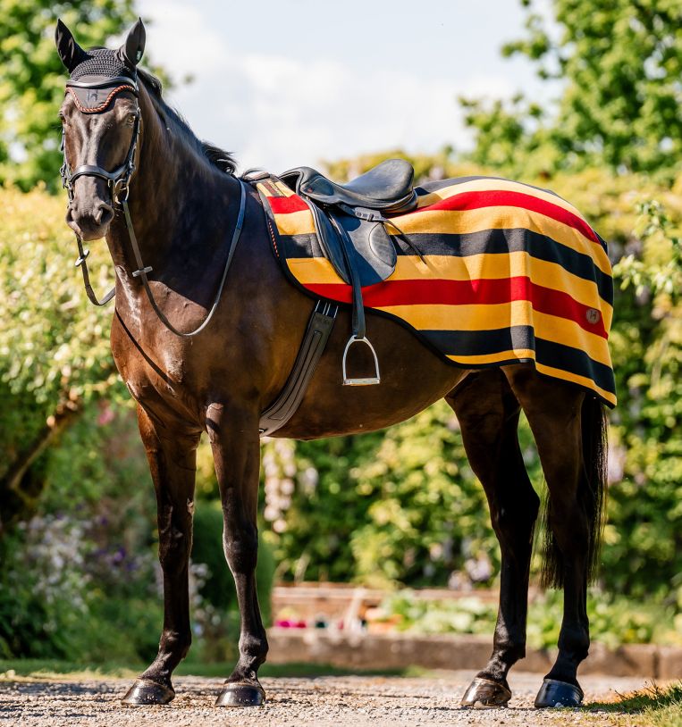 Horseware® Newmarket Exercise Sheet - Horseware Ireland - Equiluxe Tack